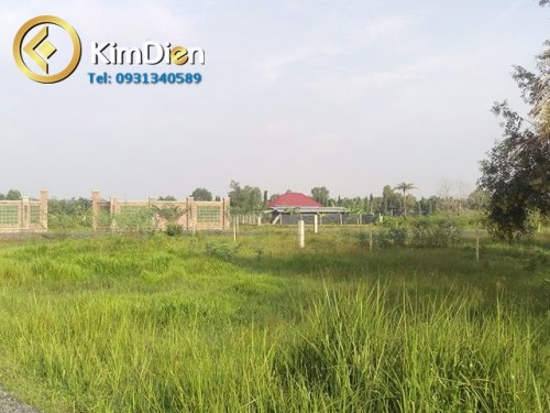 Bán Đất sổ Hồng mặt tiền đường Cầu Đình, Phường Long Phước, Quận 9