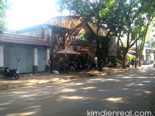 Villa For Rent in Thao Dien Ward
